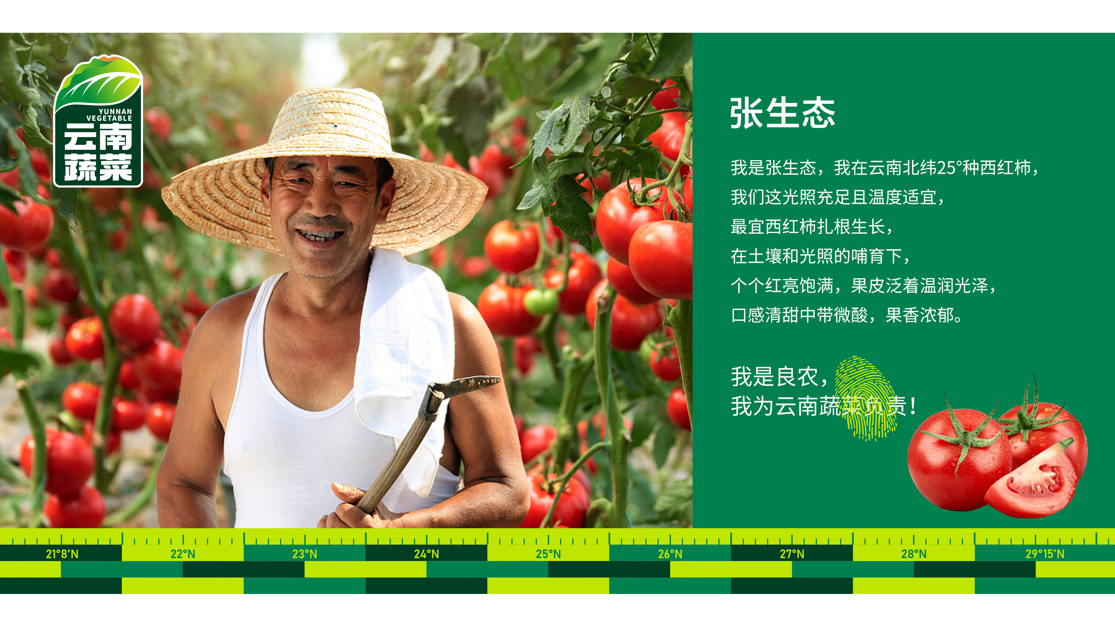 蔬菜logo设计