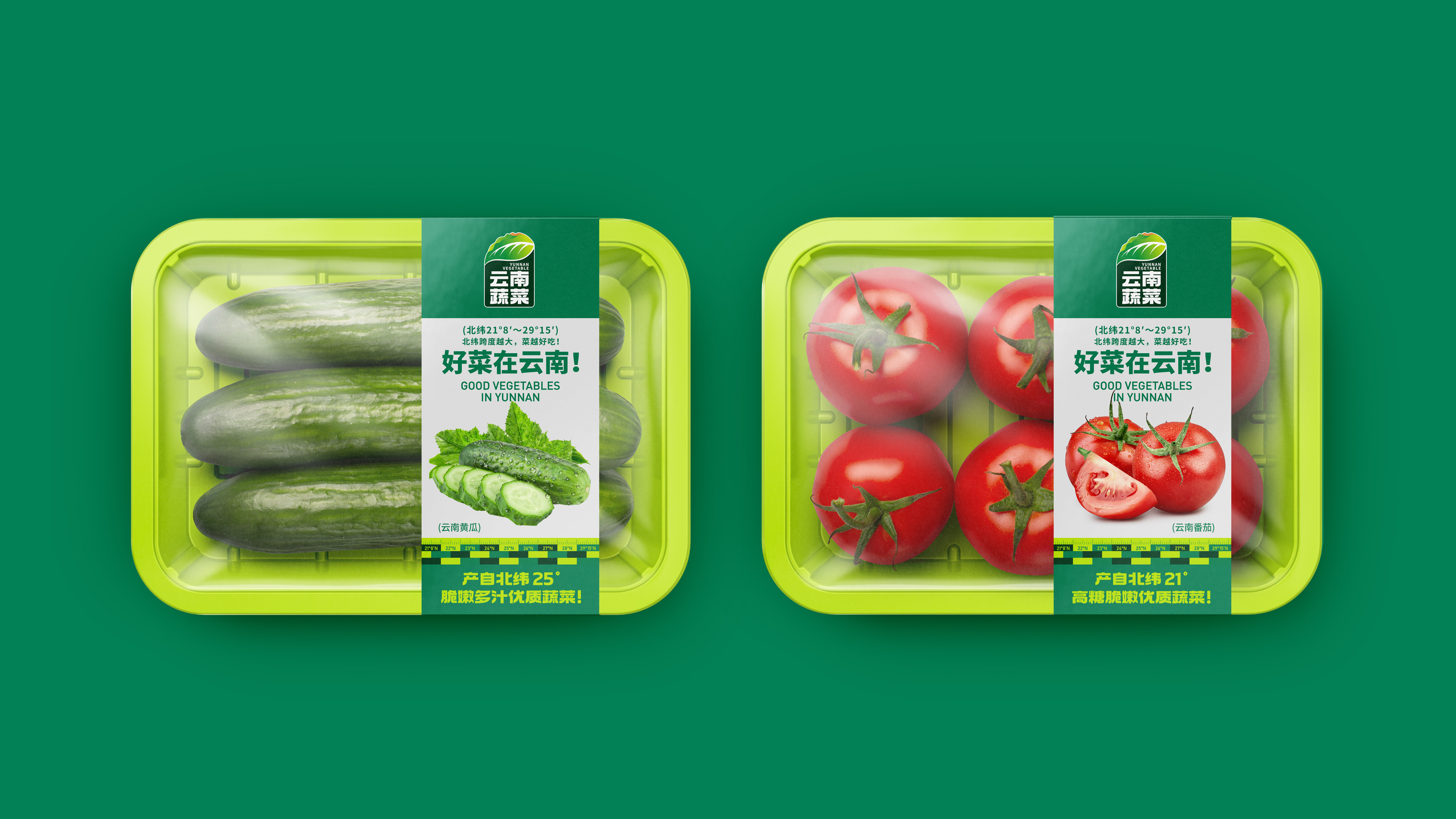 蔬菜包装设计